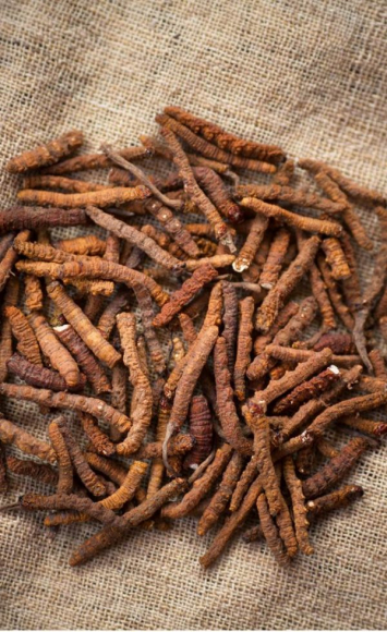 Kawa z kordycepsem (CordyCafe) Kawa z kordycepsem (CordyCafe)