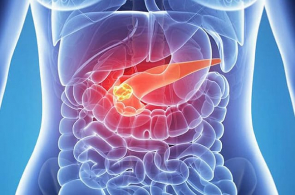 PANCRELEM (Pancrelem)